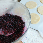 blueberry turnovers
