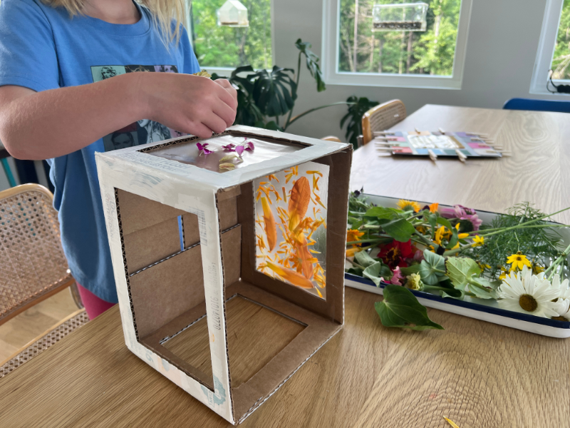 3D nature suncatcher featured