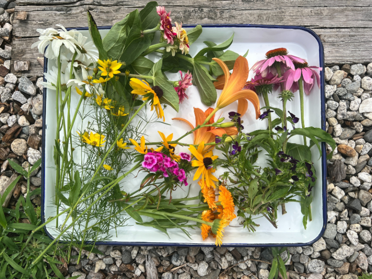 flowers from garden