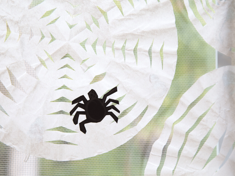 coffee filter spider web featured image