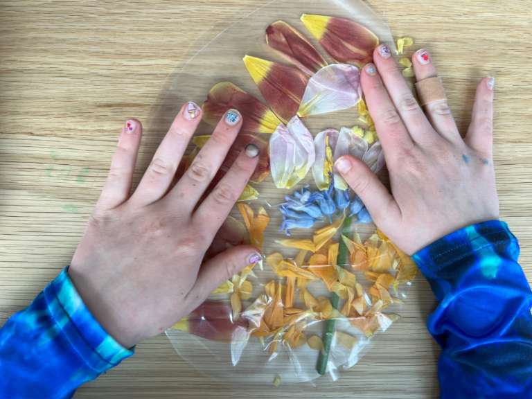 adding contact paper