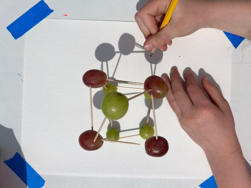 shadow tracing grapes