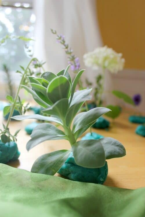 Forest Diorama Project 