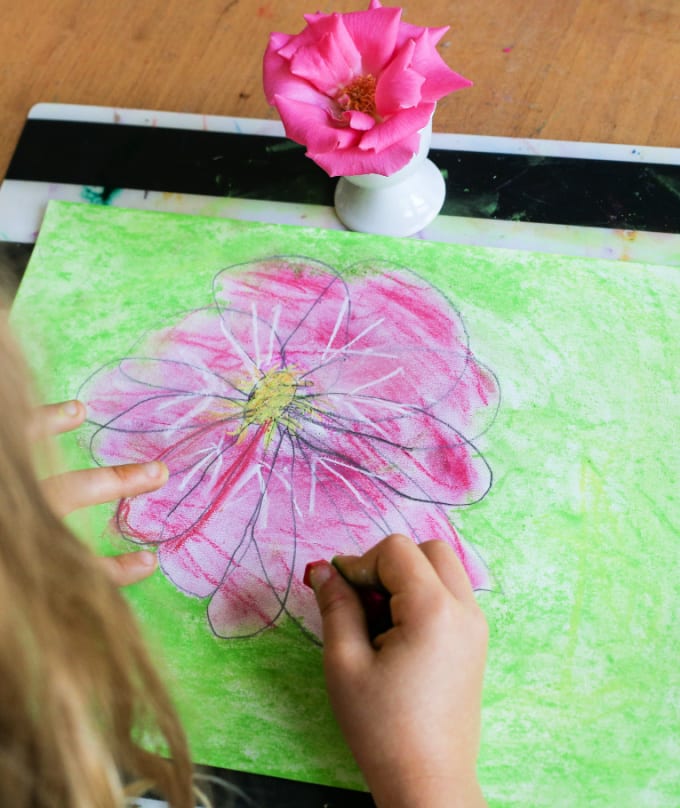 flower observational drawing