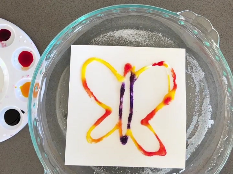  Raised Salt Art Butterfly