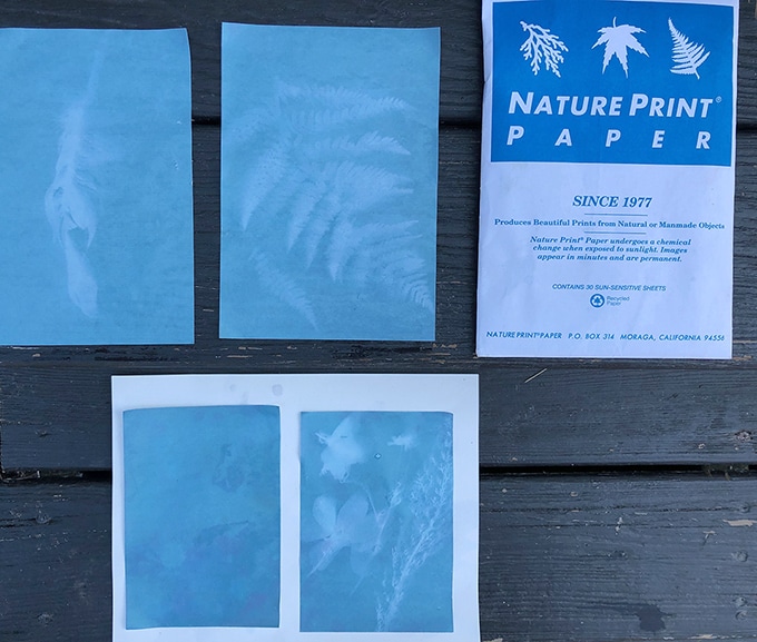 Sunprints drying on steps