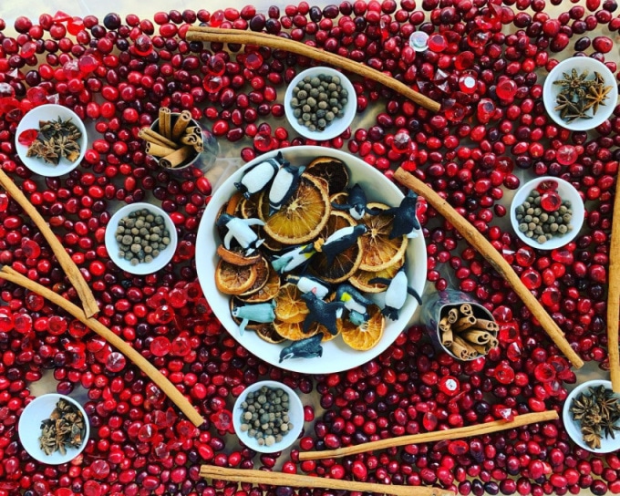 Cranberry sensory play_makers