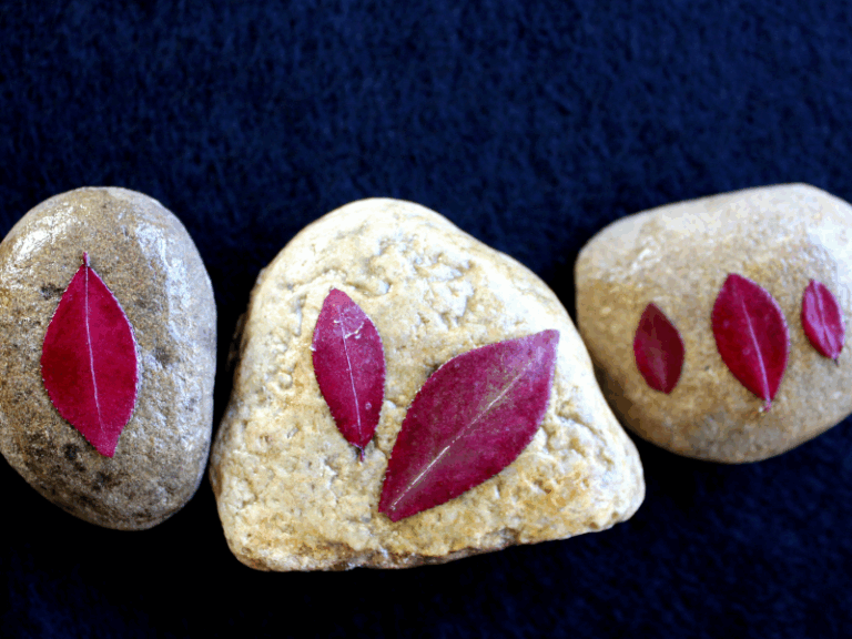 rocks with leaf art