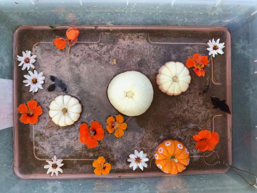 Nature soup by Rachel Withers