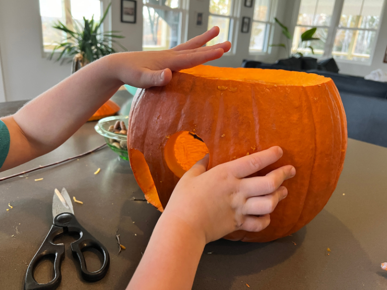 windows in fairy house