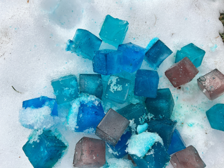 frozen scavenger hunt (1)