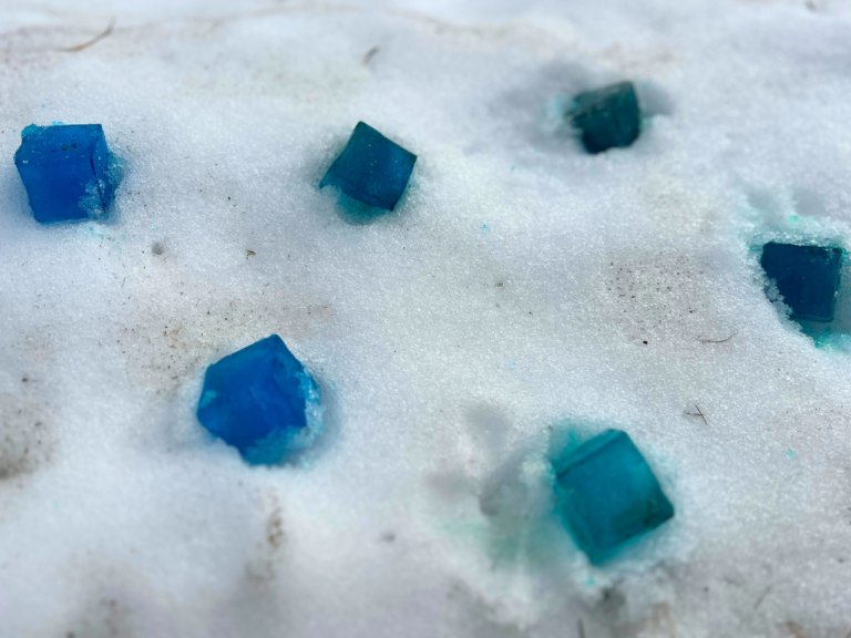 frozen scavenger hunt