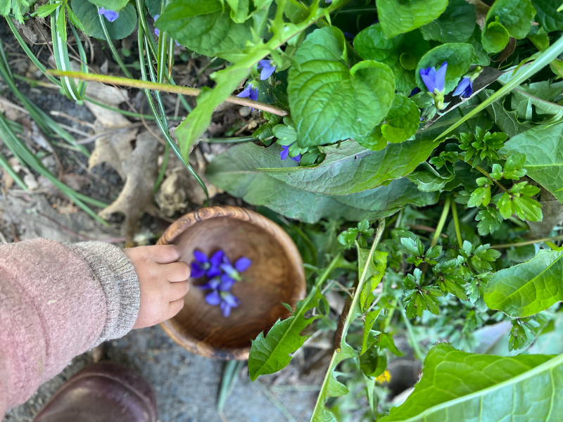 Garden Crafts for Kids