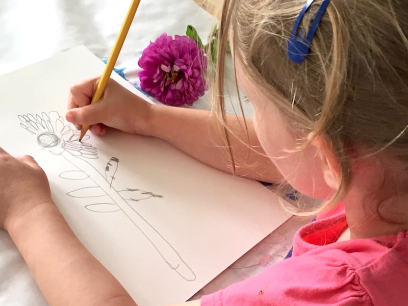 nature observational drawing _