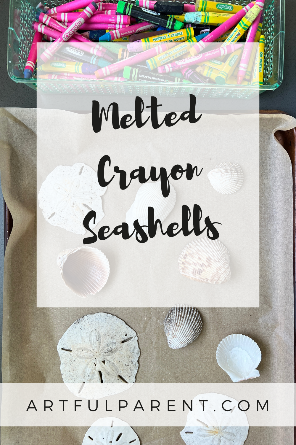 How to Make Colorful Seashell Art