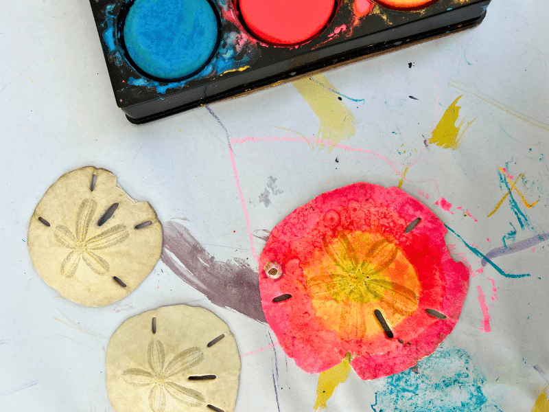 ocean crafts featured image