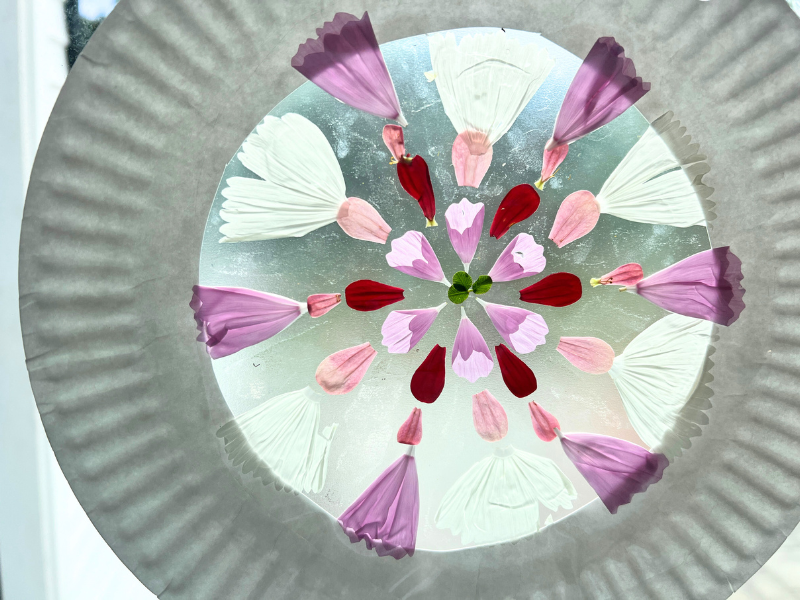 flower petal suncatcher