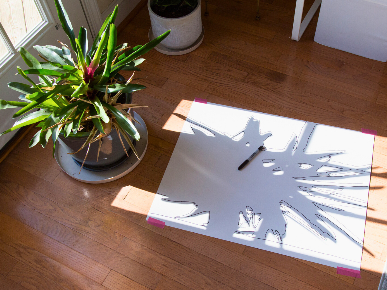 shadow art