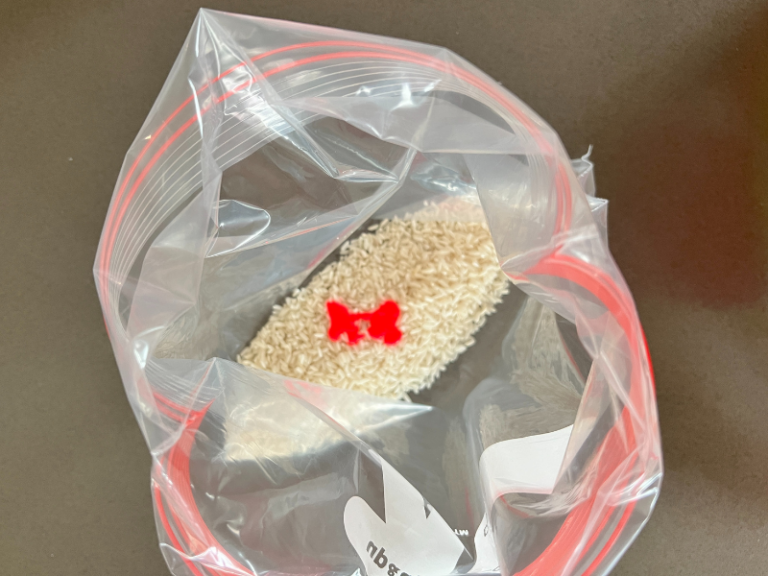 rainbow rice with paint