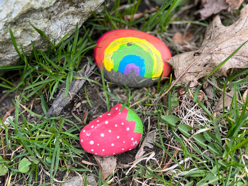 painted rocks
