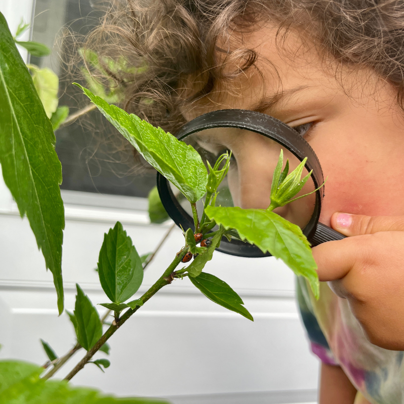 child with magnifying glass