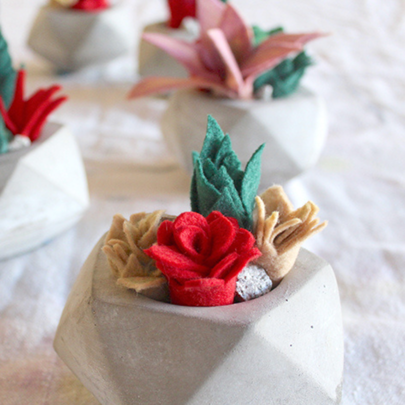 felt succulent