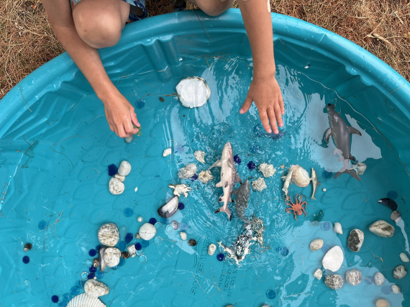 playing in kiddie pool