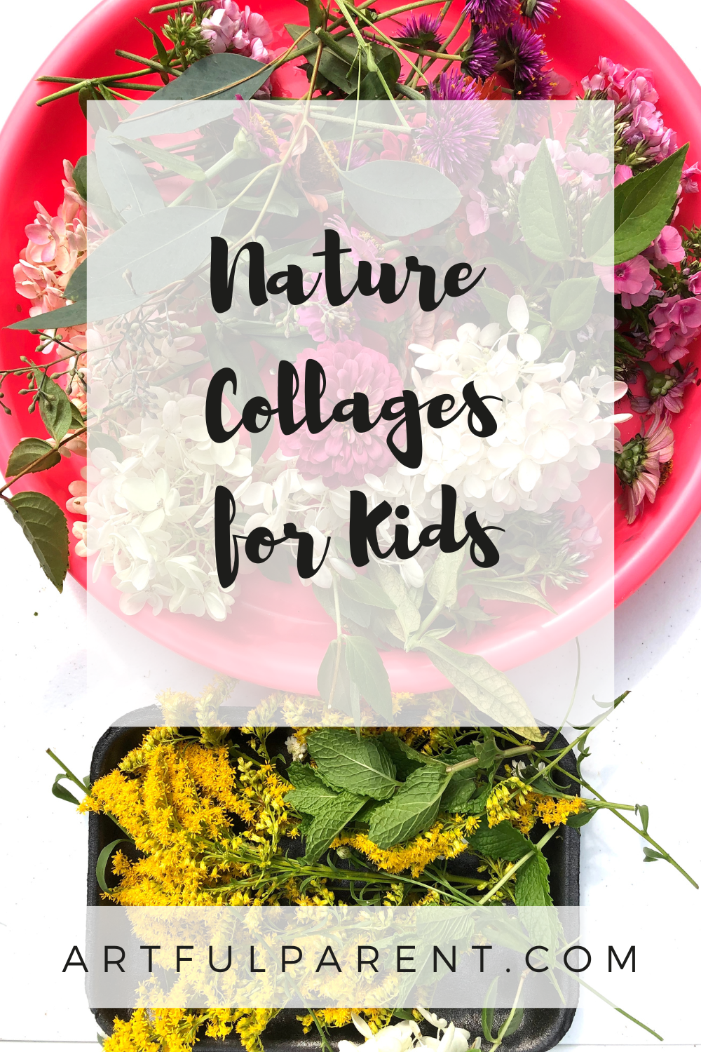 How to Make a Nature Collage for Kids
