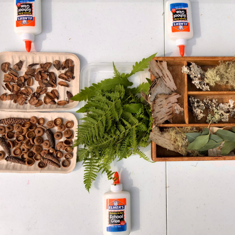 making a nature collage-2