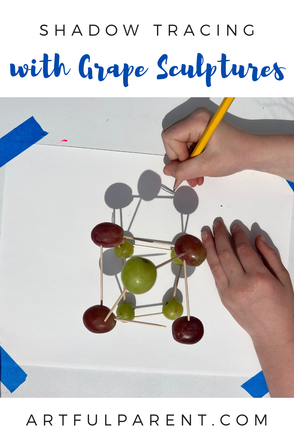 Shadow Tracing with Grape Sculptures