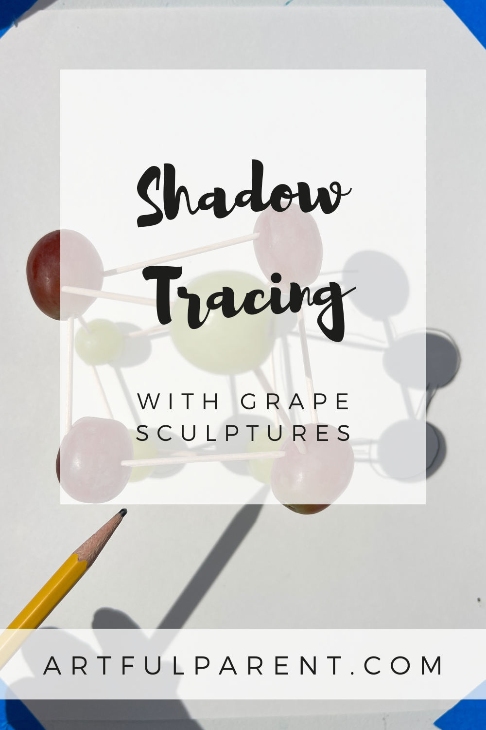 Shadow Tracing with Grape Sculptures
