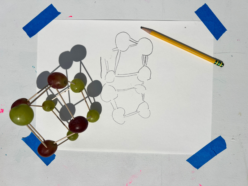 shadow tracing grape sculpture